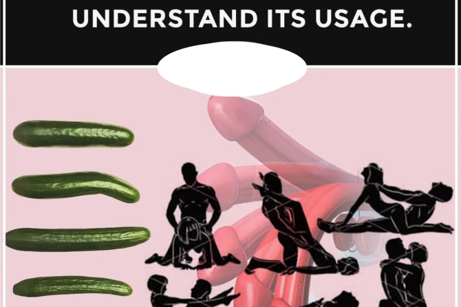 Know Your Penis Type and Understand Its Usage