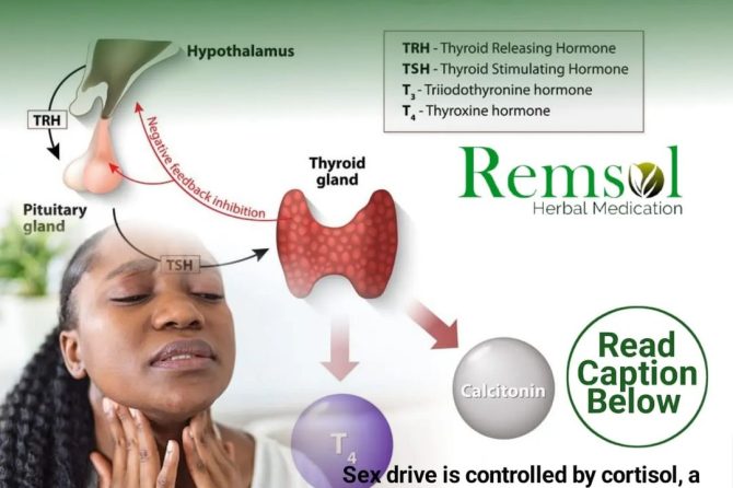 What You Need To Know About Low Thyroid Hormones